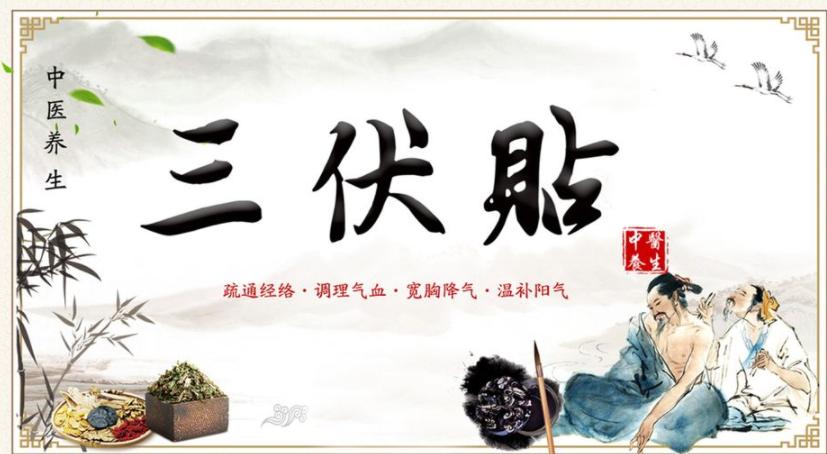 三伏貼的注意事項(xiàng)及禁忌！