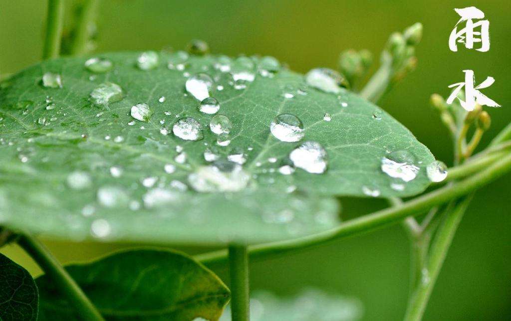 雨水！